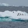 남극해빙이 사라지고 있다 “3년 연속 역대 최저” [지금! 기후위기]