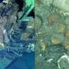 수십조원 금은보화 가득…콜롬비아 ‘전설의 보물선’ 탐사한다