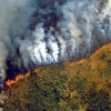아마존 산불 270% 증가…원인은 엘니뇨와 기후변화 [여기는 남미]