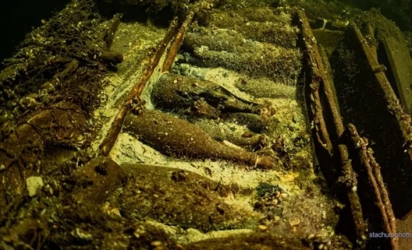 침몰한 난파선에서 ‘170년 된 샴페인’ 발견···경매 나오면 얼마?