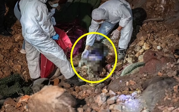 “학살당한 개들의 집단 무덤 발견”…‘유기견 대량학살법’에 서명한 대통령[핫이슈]