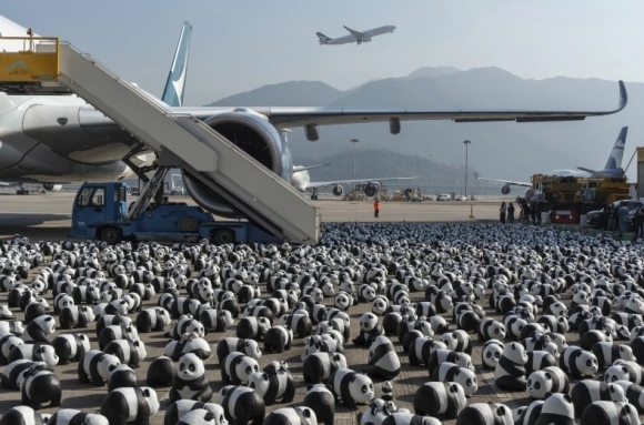 (영상)너무 귀엽잖아?!…‘판다 수천마리’ 공항 가득 채웠다[포착]