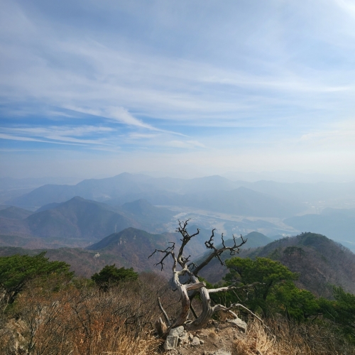 기암괴석과 운무가 빚어낸 충북의 보물, 구병산 [두시기행문]