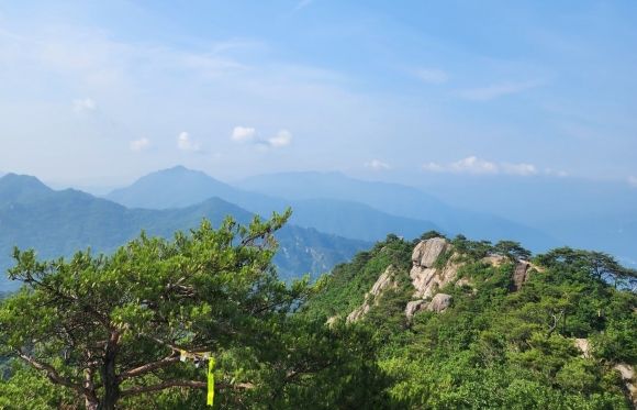 용추계곡이 있는 여름 산행지 대야산