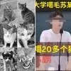 thumbnail - 길고양이 학대범이 복지센터 지원?…中 공공기관 ‘채용 취소’로 갑론을박