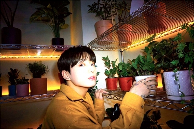 炸了！柾国（Jungkook）回归，新SNS账号一天吸粉超600万，这号召力简直无敌！