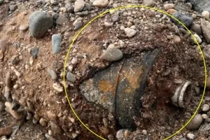 獨 드레스덴서 2차 대전 대형 ‘불발탄’ 발견…반경 1㎞ 긴