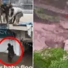 thumbnail - (영상) “죽음이 눈앞에”…약 340명 사망한 홍수 현장서 구조되는 주민