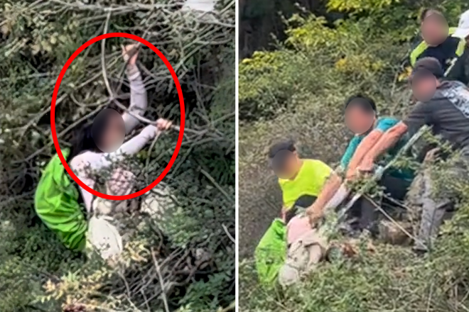 (영상) 절벽에서 ‘미끌’…나뭇가지 매달려 극적 생존한 中 여성
