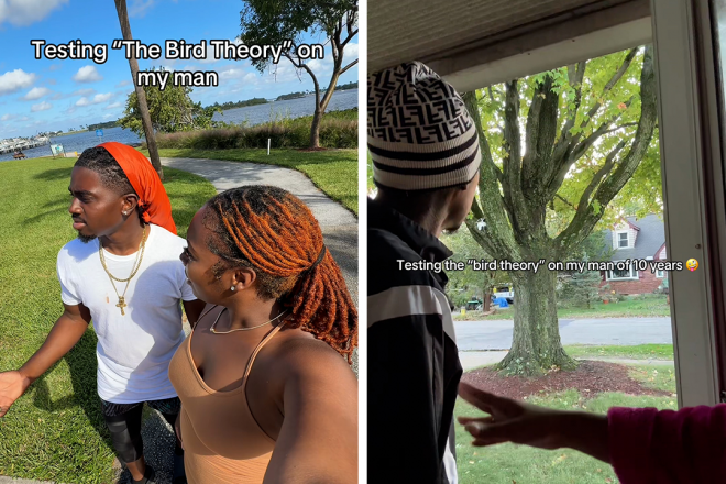 (영상) 요즘 틱톡 휩쓴 ‘버드 이론’…그게 뭔데? [SNS 트렌드]