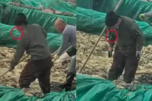 “그동안 우리가 이걸 먹었단 말인가”…담배 피운 뒤 침 뱉고