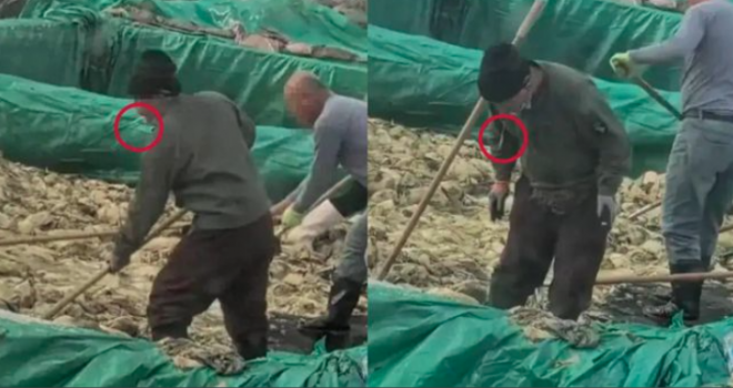 “그동안 우리가 이걸 먹었단 말인가”…담배 피운 뒤 침 뱉고 발로 뭉갠 ‘쏸차이’ 충격