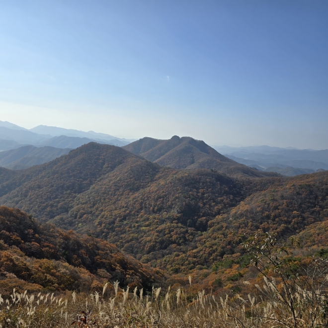붉은 물결이 산을 덮다, 내장산 가을 단풍