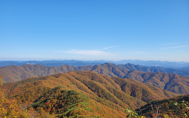 충남의 알프스, 천장호 출렁다리로 걷는 명품 가을길