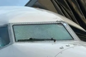 3만 6000피트서 여객기와 충돌한 정체불명 물체 알고 보니