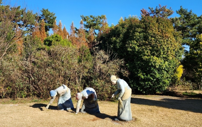 은빛 물결 넘실대는 가을 정원, 태안 청산수목원