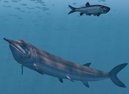 쥐라기 바다의 숨은 주역: 시조새, 익룡과 함께한 거대 어류 아스피도린쿠스의 식생활