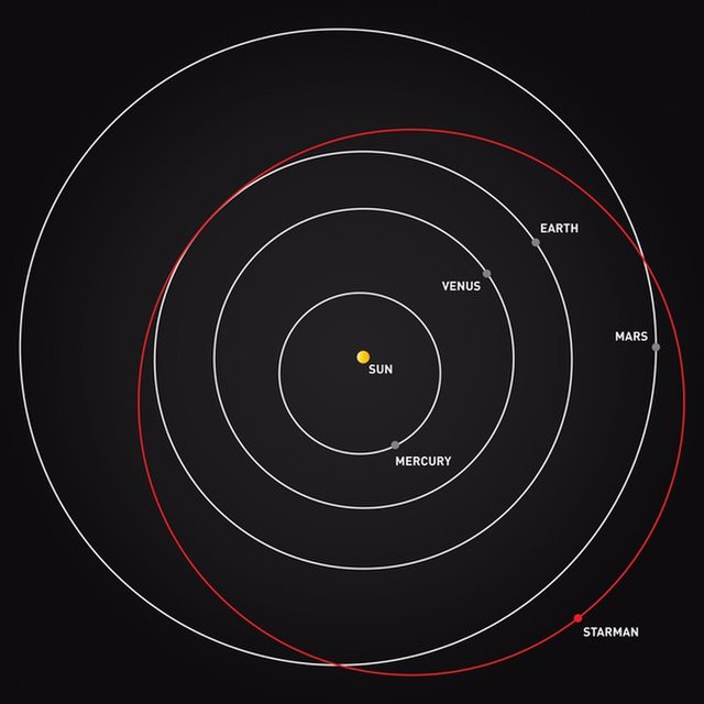 스타맨과 테슬라의 2018년 11월 2일 현재 위치를 보여주는 궤도 그림표.(사진=SpaceX via Twitter)