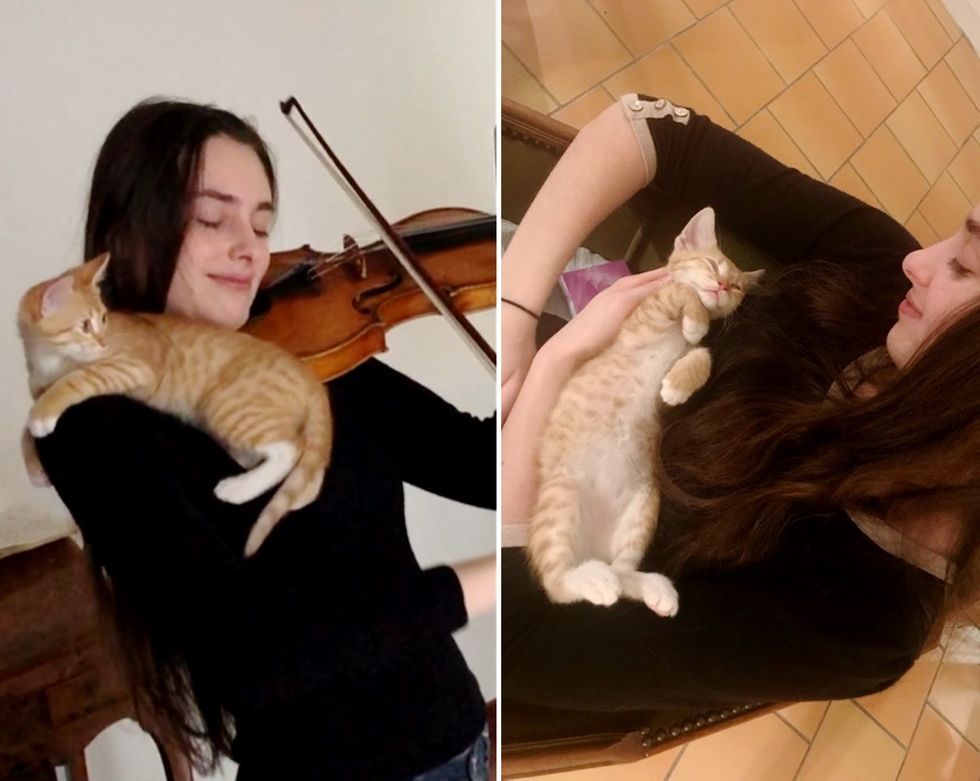 바이올린 연주 소리에 푹 빠진 고양이의 사연(사진=에스테르 아브라미/인스타그램)