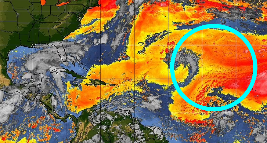 8000km를 날아 미국으로 향하는 사하라 사막 먼지 구름(붉은색). 사진=NASA