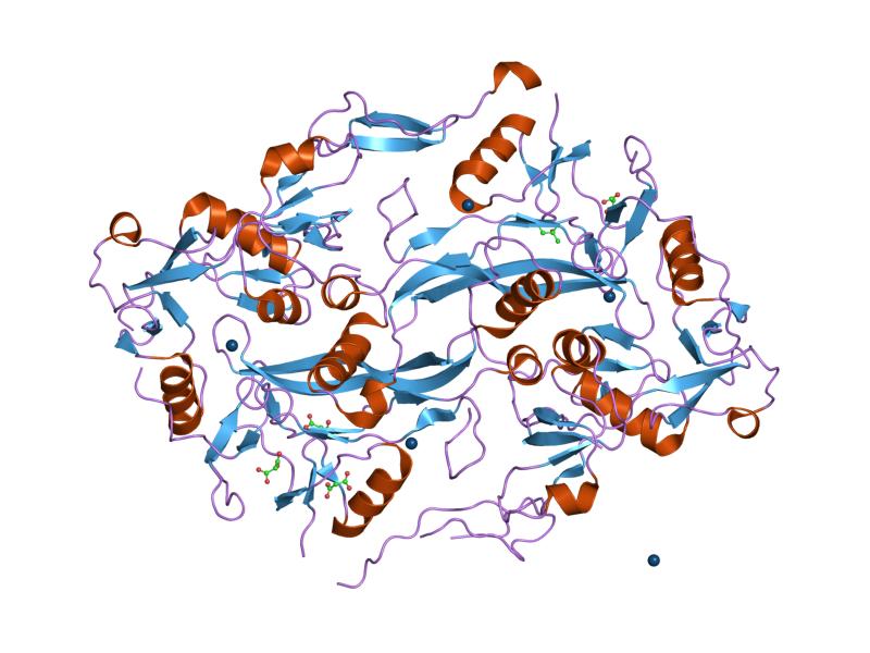 폴리스타틴의 구조를 나타낸 이미지.(사진=Jawahar Swaminathan and MSD staff at the European Bioinformatics Institute, Public domain, via Wikimedia Commons)