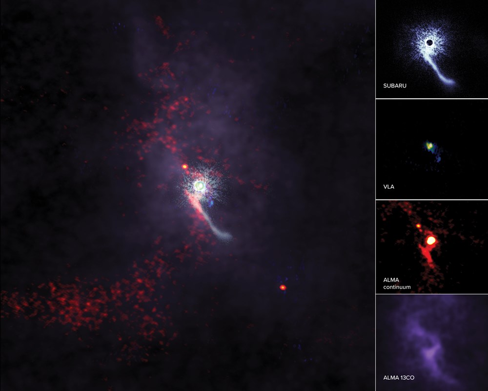 여러 망원경으로 확인한 큰개자리 Z 별 주변의 가스. 사진=ALMA (ESO/NAOJ/NRAO), S. Dagnello (NRAO/AUI/NSF), NAOJ