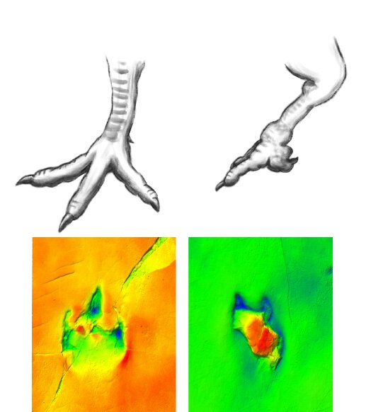 Artwork by Lara de la Cita, and photographs by Las Hoyas research team, Universidad Autónoma de Madrid, Spain, CC-BY 4.0)