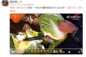 “한국은 채소값 왜 이렇게 비싸요?”…중국서 ‘한국 