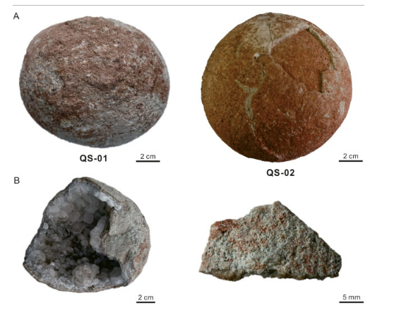 중국 안후이성에서 발견된 백악기 시대 공룡의 알 화석. 왼쪽 아래는 일부 손상으로 내부가 노출된 공룡알의 단면, 오른쪽 아래는 거의 완벽하게 보존된 공룡알의 표면