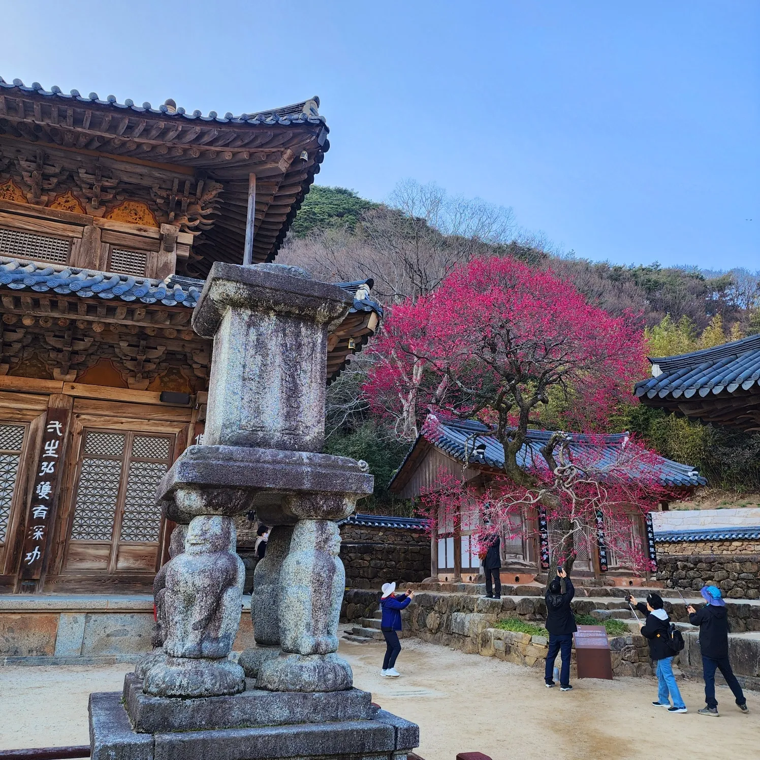 지리산 노고단으로 올라가는 등산로의 초입에 있는 화엄사는 사찰의 고즈넉한 정취와 홍매화의 황홀한 색이 아름답게 조화를 이룬다. thumbnail - 지리산 노고단으로 올라가는 등산로의 초입에 있는 화엄사는 사찰의 고즈넉한 정취와 홍매화의 황홀한 색이 아름답게 조화를 이룬다.