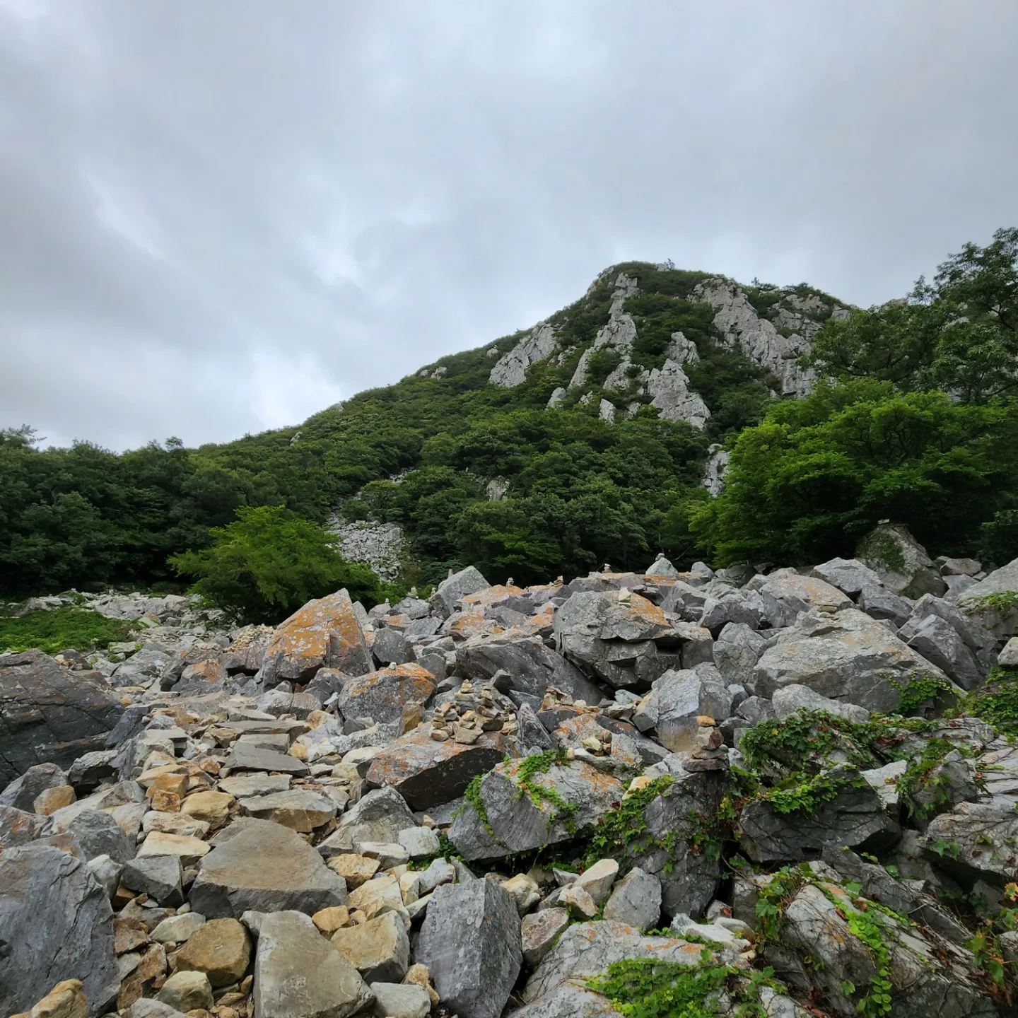 thumbnail - 전남 해남군 송지면과 북평면에 걸쳐 있는  달마산(해발 489m) 능선에는 1만개의 기암괴석이 병품처럼 펼쳐진다. 산세가 웅장해 남도의 금강산이라 불린다.