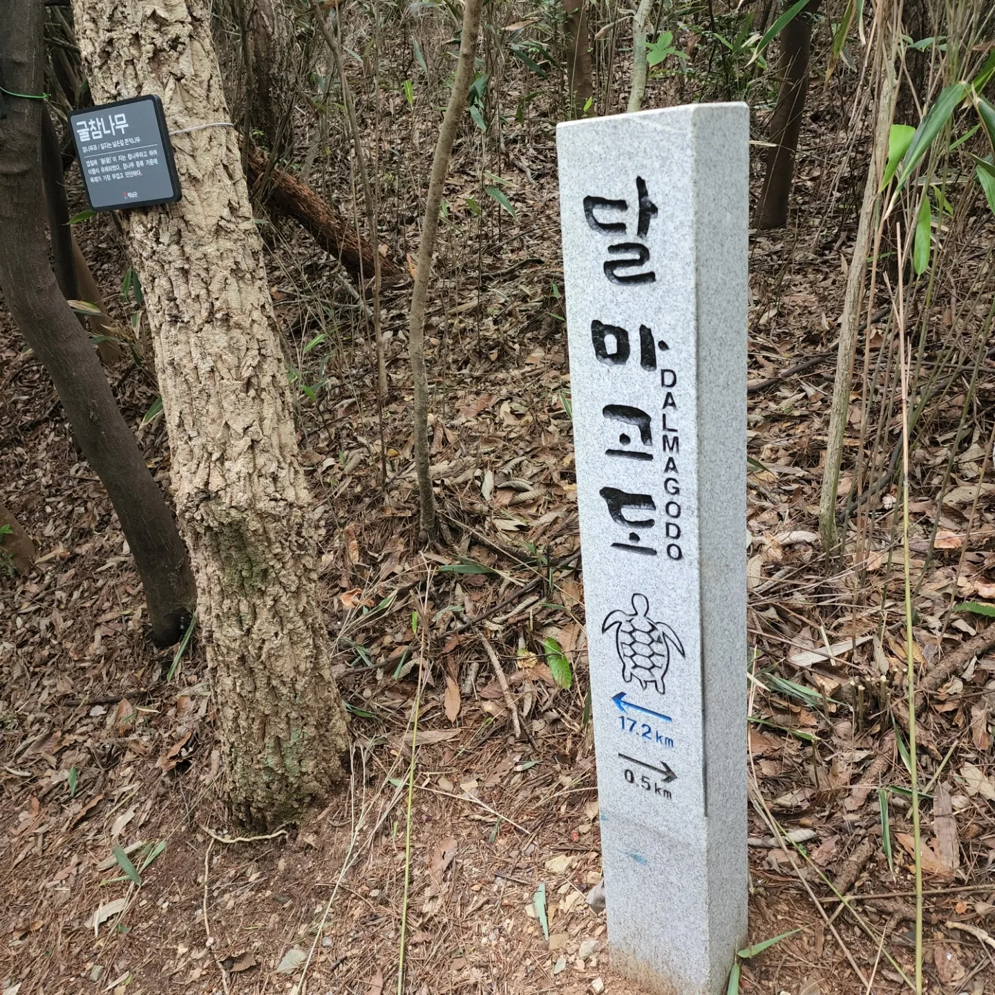 thumbnail - 4개의 코스로 이뤄진 달마고도는 매 구간마다 역사자원과 아름다운 다도해 등 색다른 풍광을 선사한다.