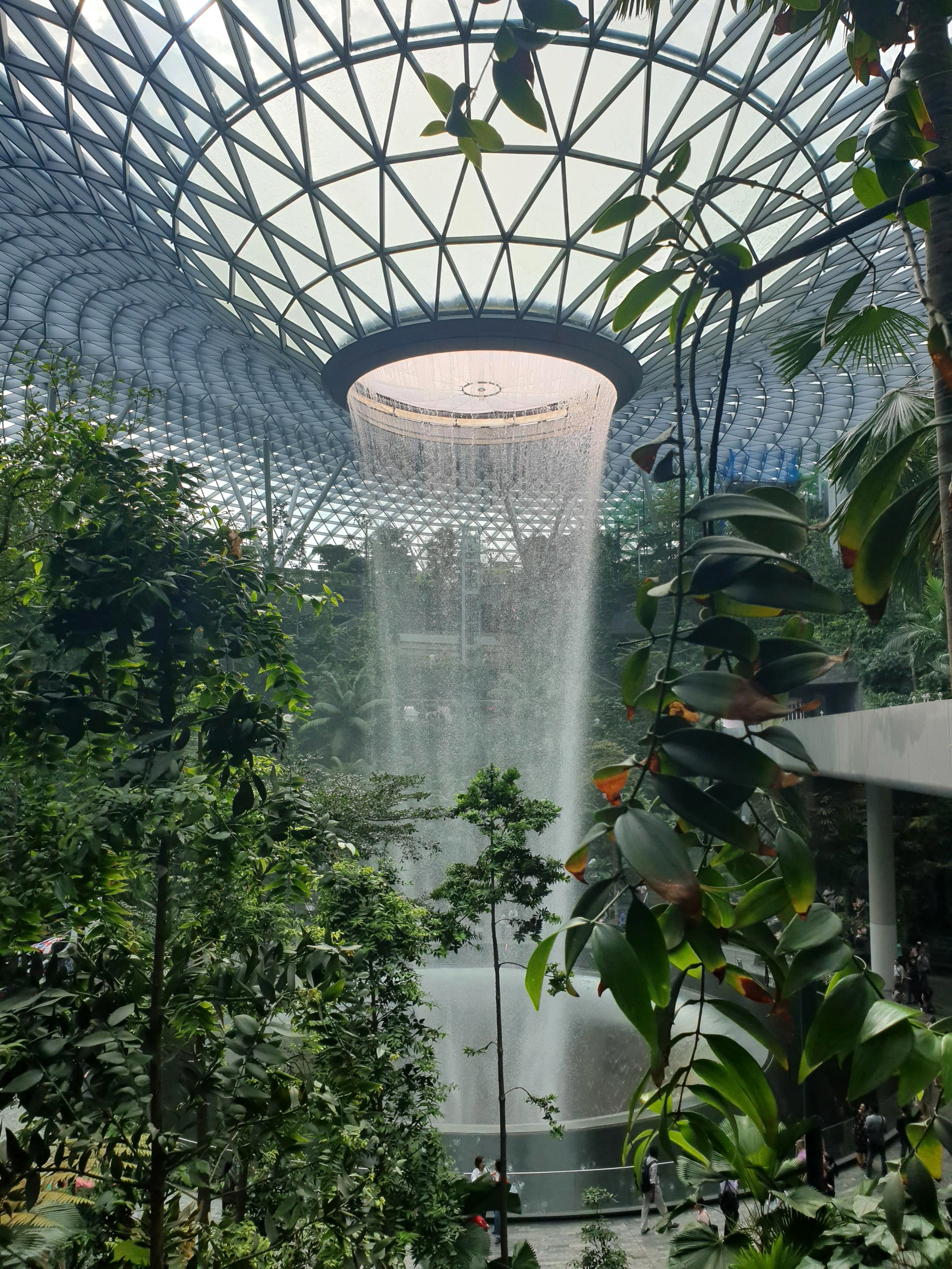 싱가포르 창이 공항 제1터미널에 들어선 쥬얼 창이(Jewel Changi)는 폭포수같이 거대한 물줄기가 유리 돔 천장을 통해 끊임없이 쏟아져 내린다. 공항 전체 배치도를 보면 쥬얼 창이의 위치와 규모를 더 자세히 볼 수 있다.