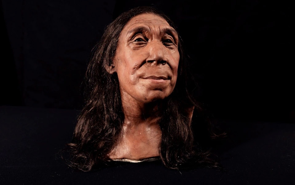 케임브리지 대학 연구팀이 복원한 네안데르탈인 여성 얼굴