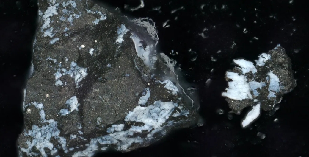 미항공우주국(NASA)의 소행성 탐사선 오시리스-렉스가 소행성 베뉴에서 가져온 샘플을 현미경으로 본 모습.