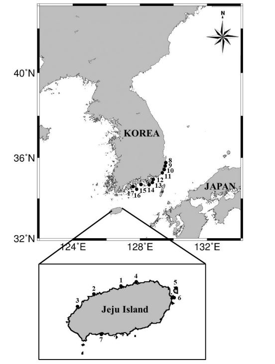 한국 연안에서 발견된 ‘파란고리문어’ 분포도. 사진=Tetrodotoxin and the Geographic Distribution of the Blue-Lined. Octopus Hapalochlaena fasciata on the Korean Coast. Toxins 2023, 15, 279.