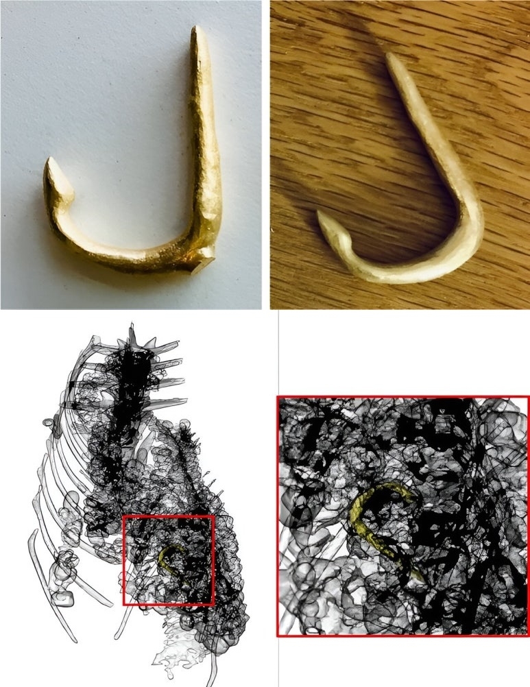 CT 스캔으로 확인한 악어의 내부와 복원한 낚싯바늘. 사진=맨체스터 대학