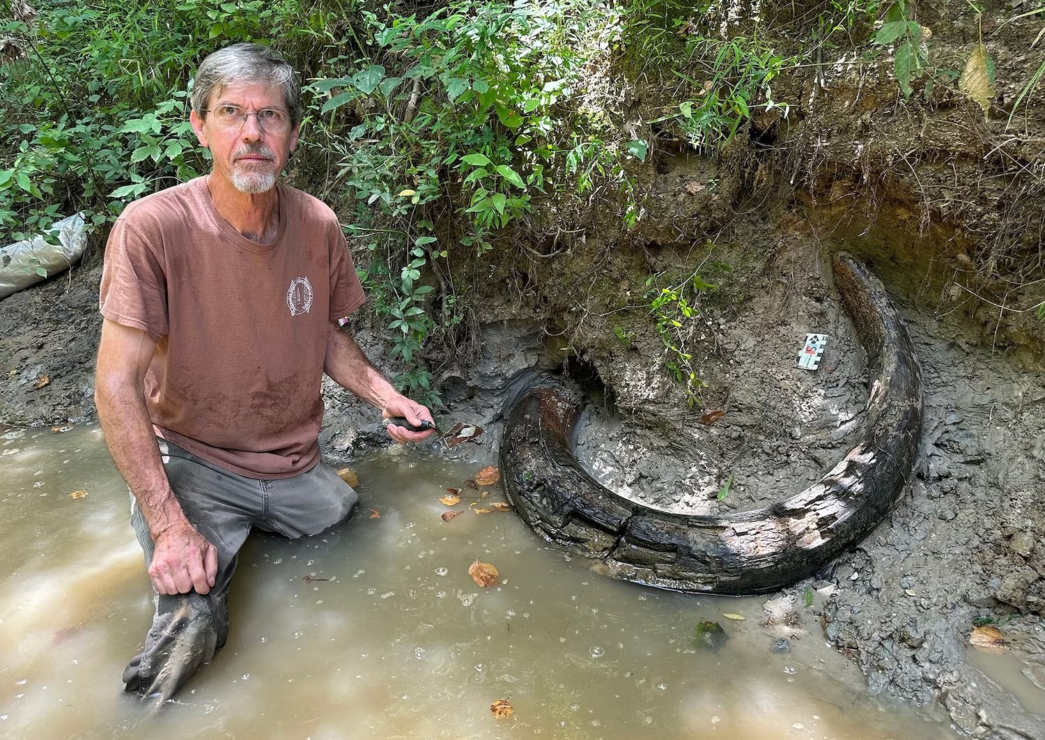 이달 초 매디슨 카운티에서 발견된 매머드 상아 모습. 사진=Mississippi Department of Environmental Quality