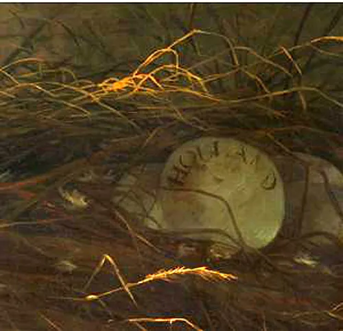 ‘위협받는 백조’ 그림 오른쪽 하단 알에는 ‘홀랜드’(Holland)라는 글자가 새겨져 있다. thumbnail - ‘위협받는 백조’ 그림 오른쪽 하단 알에는 ‘홀랜드’(Holland)라는 글자가 새겨져 있다.