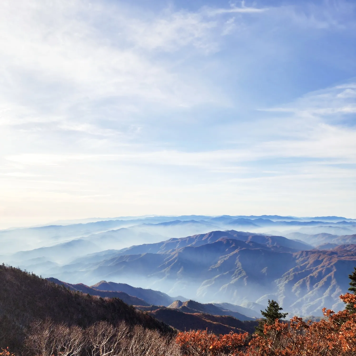 단풍의 시작을 알리는 설악산 단풍이 시작되면서 아름다운 가을 풍경을 보기 위해 설악산을 찾는 발길은 이어지고 있다. thumbnail - 단풍의 시작을 알리는 설악산 단풍이 시작되면서 아름다운 가을 풍경을 보기 위해 설악산을 찾는 발길은 이어지고 있다.