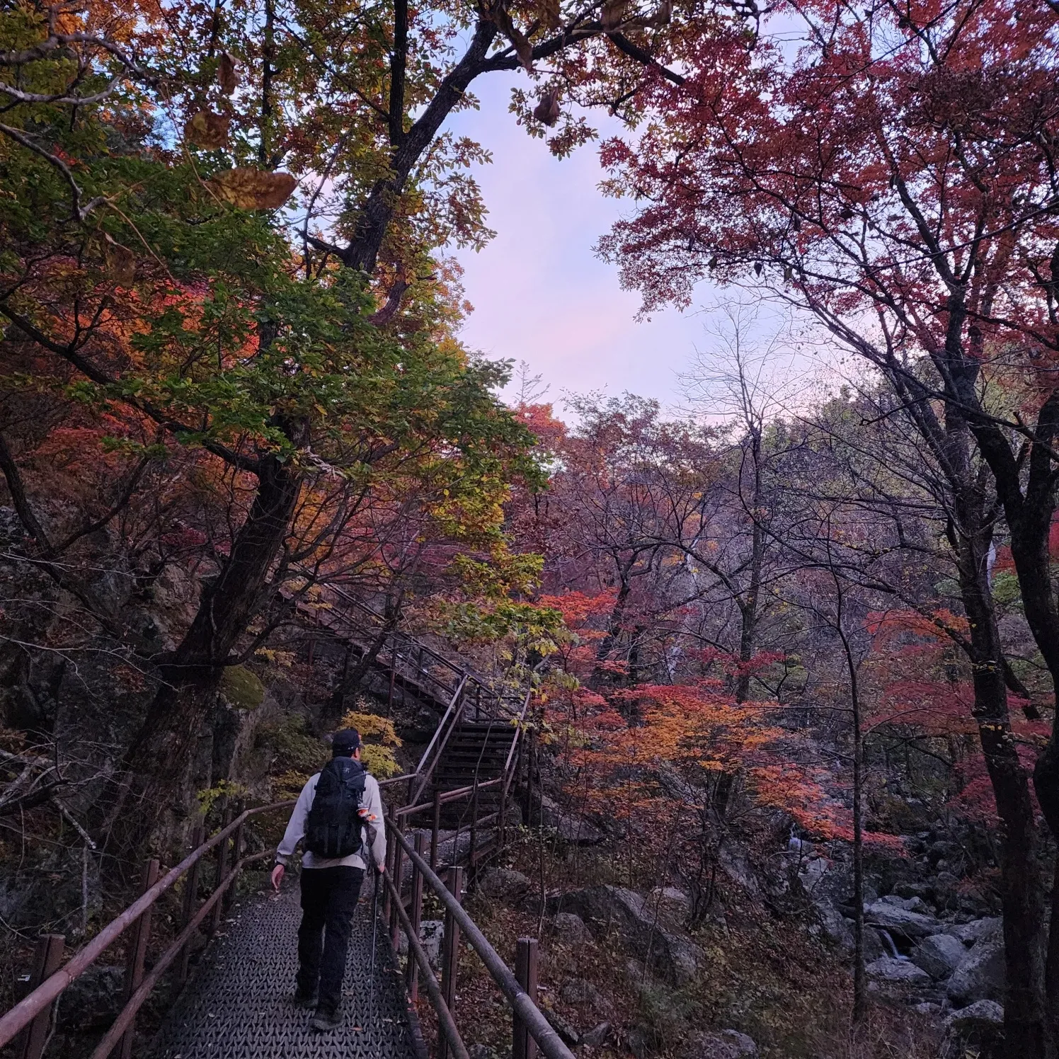 설악산에는 울산바위, 흔들바위, 비룡폭포, 금강굴 등 숨은 비경 등이 가득하고 사시사철 새로운 모습의 절경을 감상할 수 있다. thumbnail - 설악산에는 울산바위, 흔들바위, 비룡폭포, 금강굴 등 숨은 비경 등이 가득하고 사시사철 새로운 모습의 절경을 감상할 수 있다.