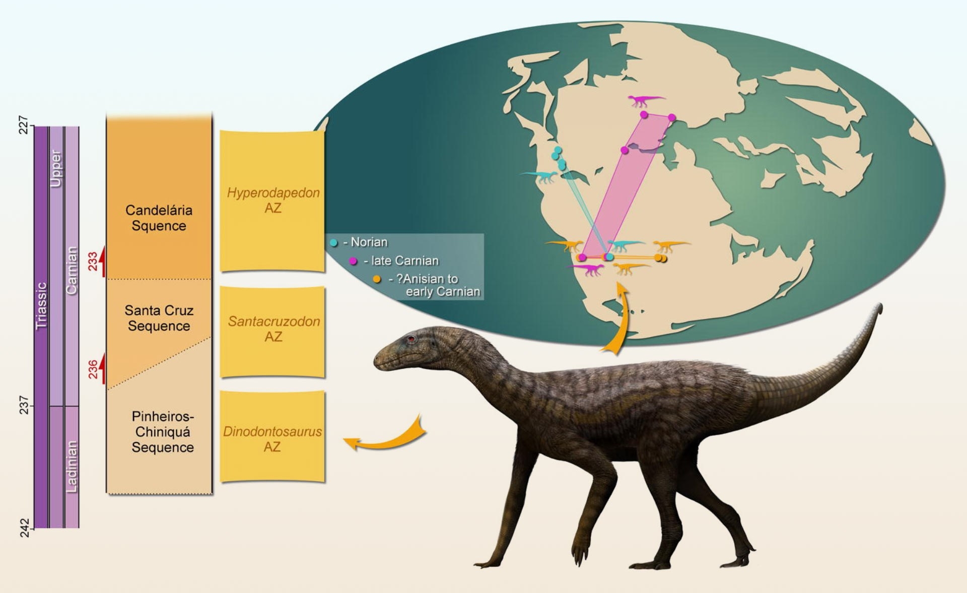 ‘곤드와낙스 파라이센시스’(Gondwanax paraisensis)에 대한 이미지. 사진=Rodrigo Temp Müller, doi: 10.1016/j.gr.2024.09.007.