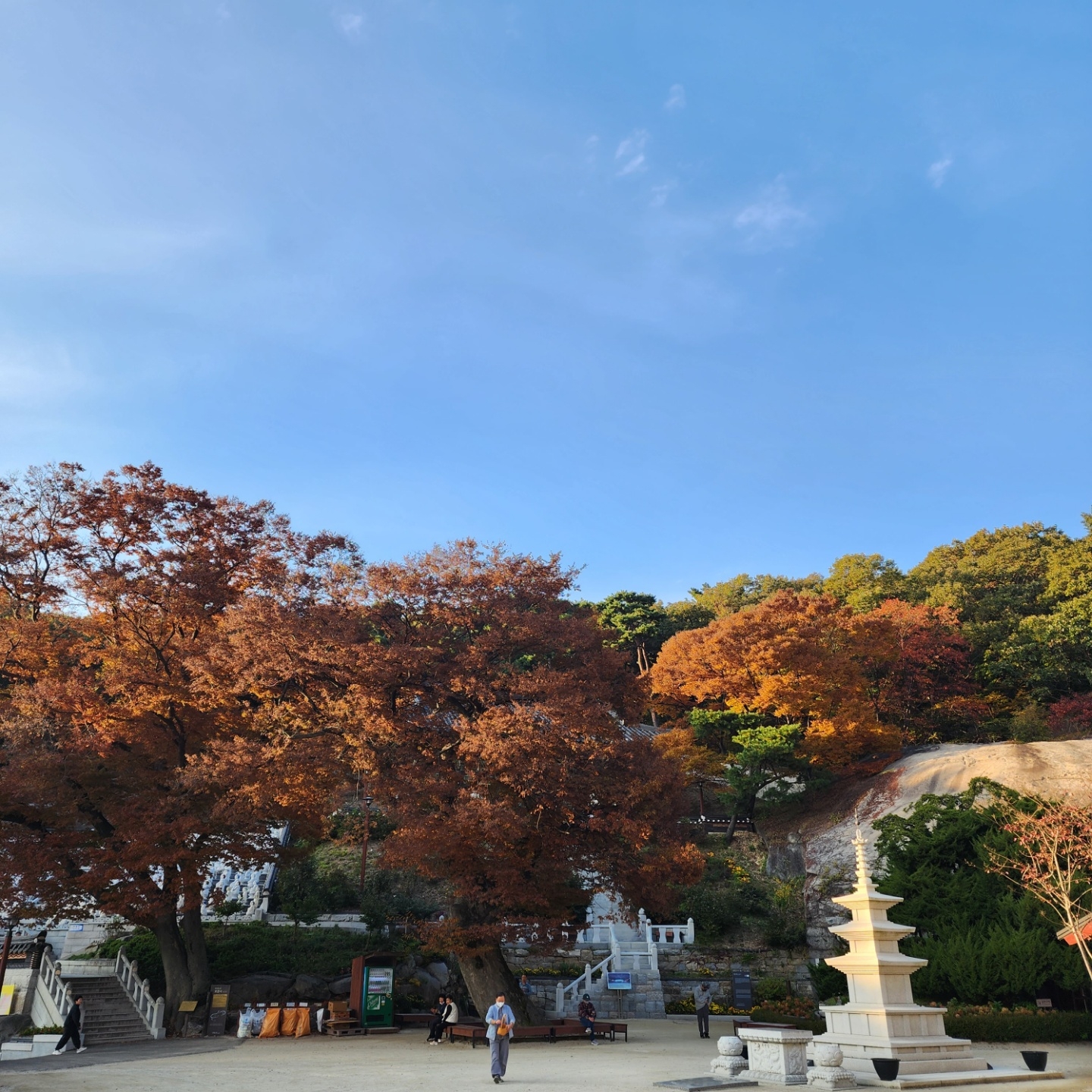 석모도 낙가산 자락에 있는 보문사는  우리나라 3대 해상 관음기도 도량으로 고즈넉한 가을 정취를 느낄 수 있다.