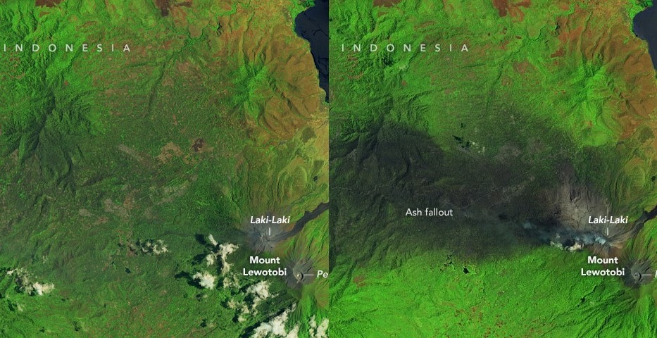 르워토비 라키라키 화산 폭발 전과 후의 모습을 담은 위성사진. 사진=NASA Earth Observatory