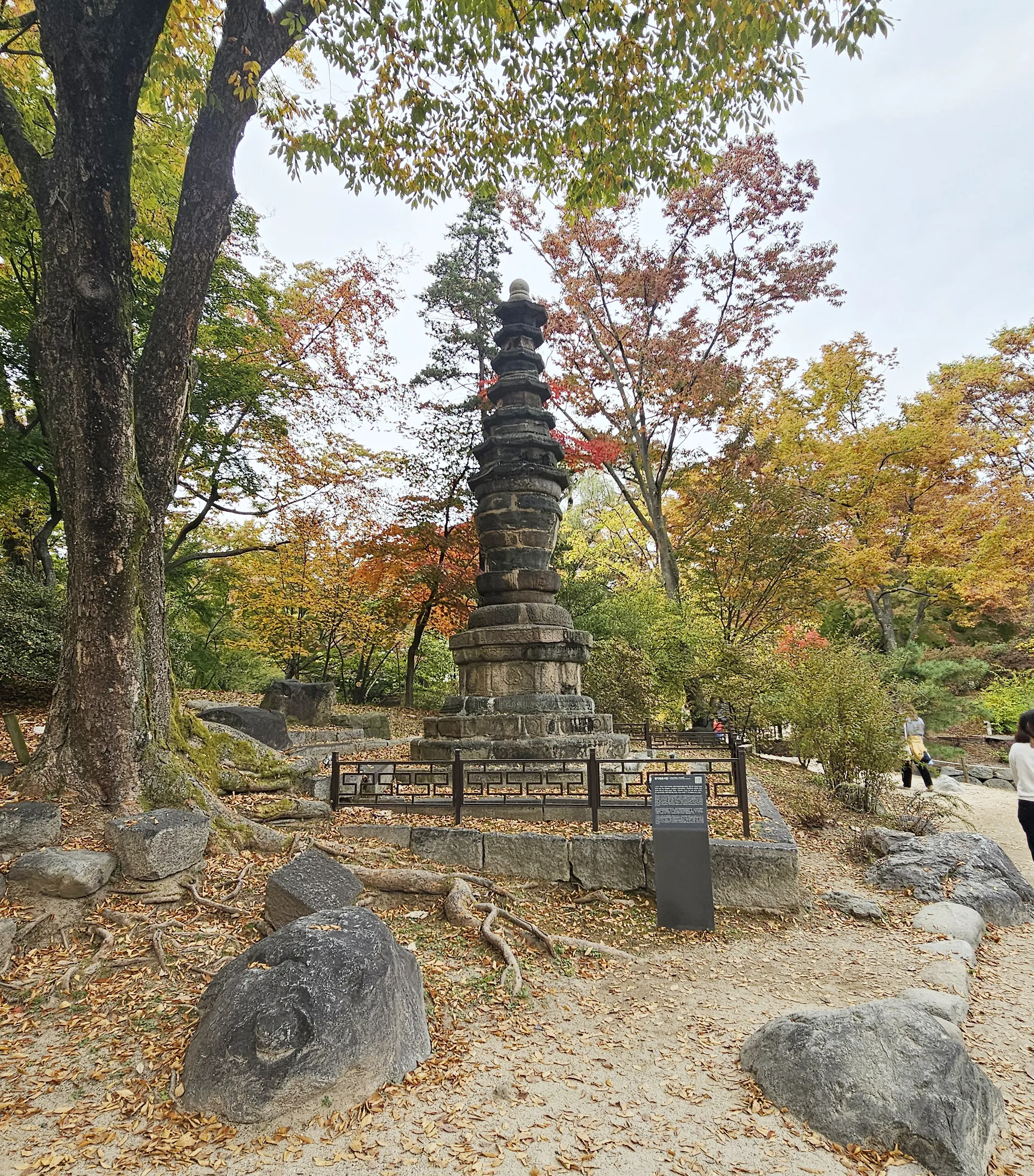 창경궁 춘당지 옆에 있는 중국식 석탑인 ‘창경궁 팔각칠층석탑’(보물 1119호)가 일제강점기에 궁궐을 꾸미기 위해 옮겨온 것으로 조사됐다.