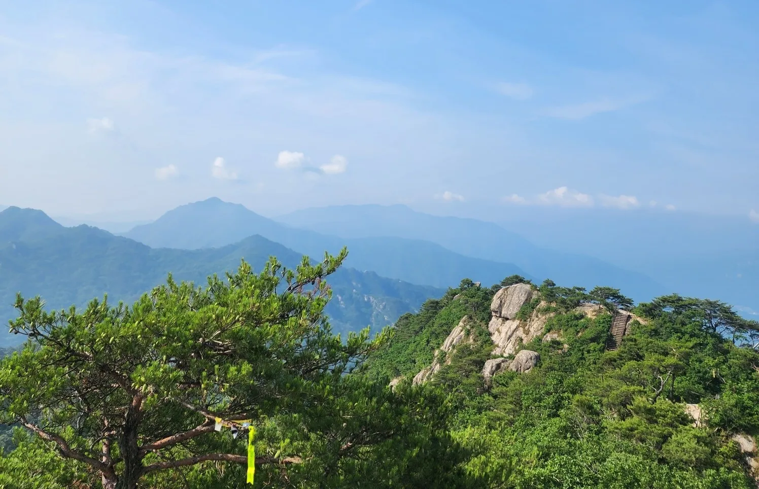 대야산 능선에서 바라보는 백두대간 봉우리들과 경쾌한 풍경 thumbnail - 대야산 능선에서 바라보는 백두대간 봉우리들과 경쾌한 풍경