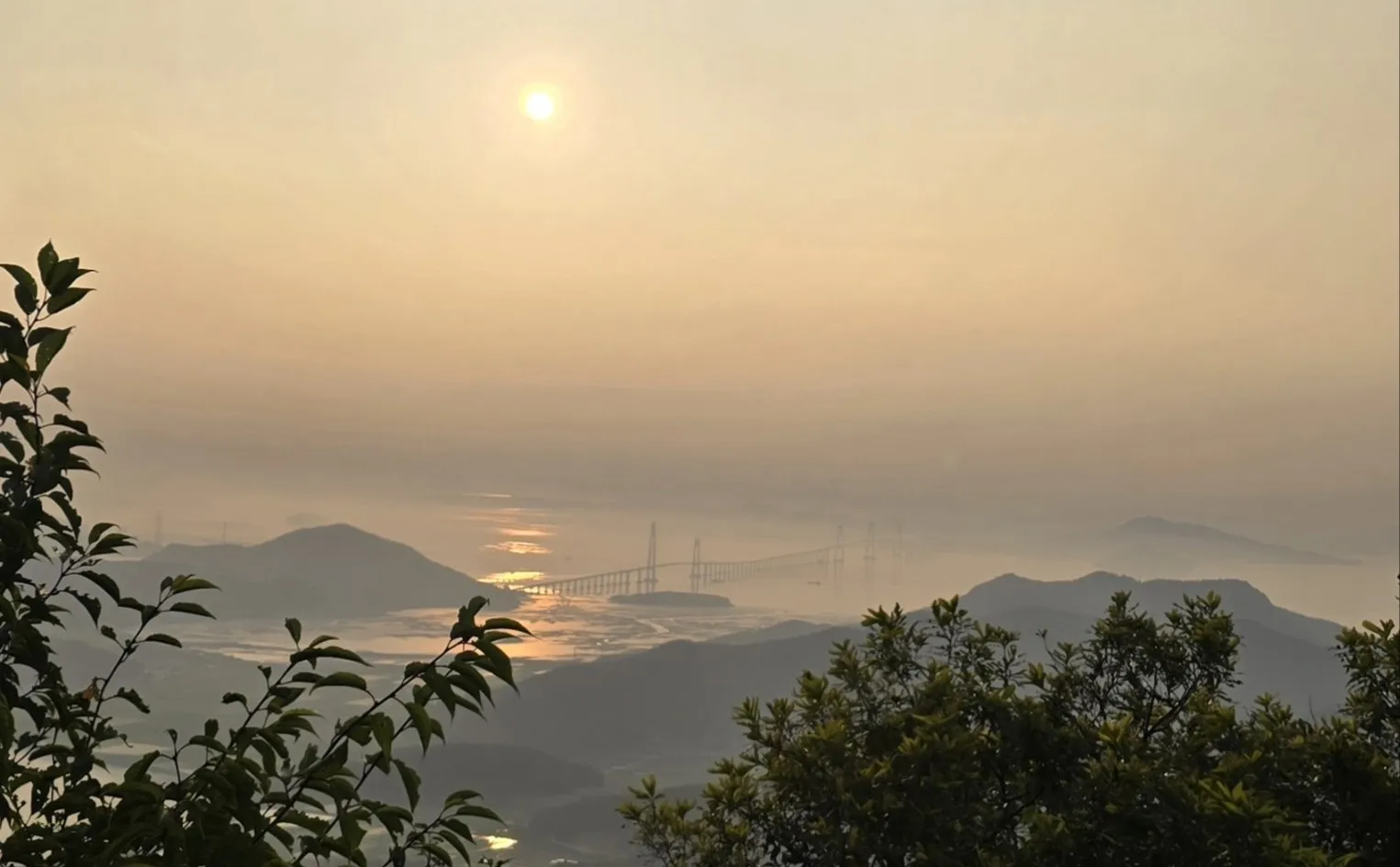 암태도 승봉산에서 바라보는 천사대교의 일출 thumbnail - 암태도 승봉산에서 바라보는 천사대교의 일출