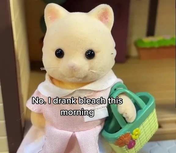 thumbnail - 틱톡 Sylvanian Drama 캡처
