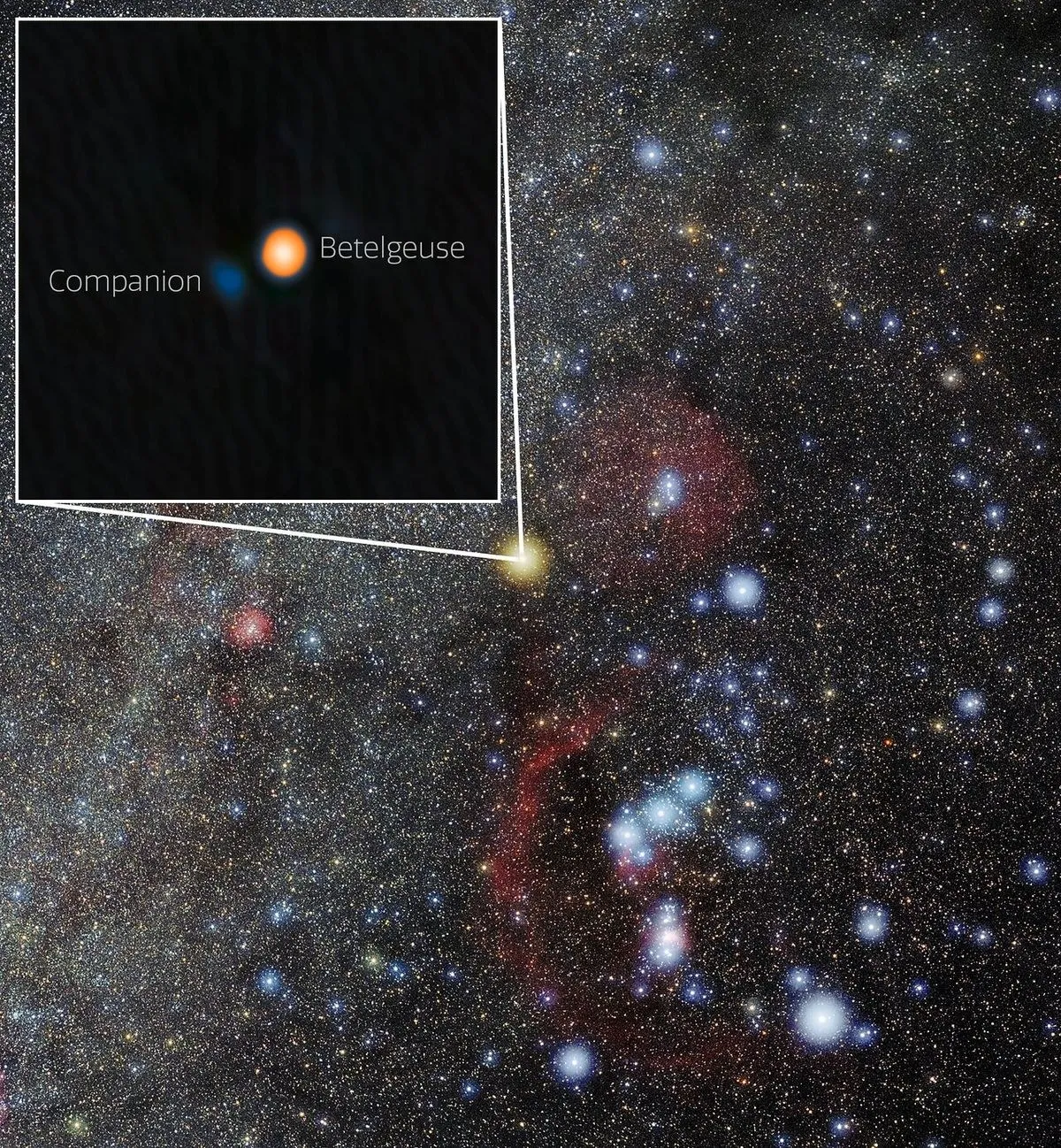 thumbnail - 밤하늘의 베텔게우스와 동반성의 위치.  International Gemini Observatory/NOIRLab/NSF/AURAImage Processing: M. Zamani (NSF NOIRLab)