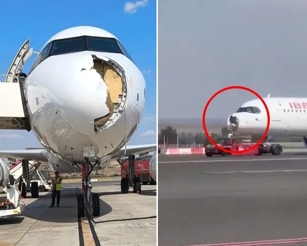 thumbnail - 현지시간으로 지난 3일 스페인 마드리드에서 출발해 프랑스 파리로 가던 이베리아 항공 여객기가 조류 충돌로 망가진 채 회항한 모습. 엑스 캡처